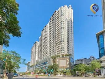 Golden Palm